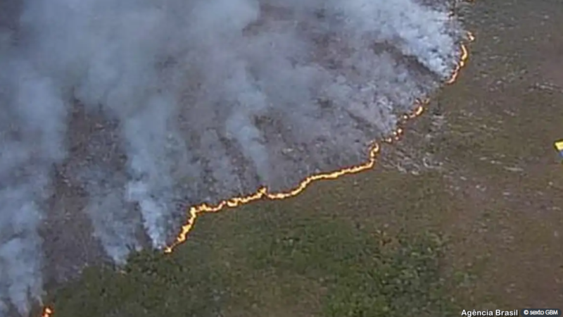 Incêndio atinge Parque Nacional do Monte Pascoal
