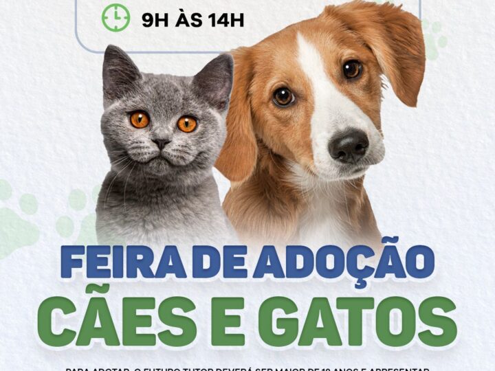Prefeitura de Eunápolis promove mais uma Feira de Adoção de Cães e Gatos nesta sexta-feira